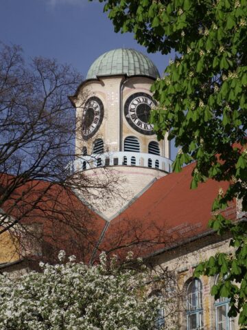 Liceum Chrobrego Bytom Sikorak 15 Liceum Chrobrego Bytom Sikorak 15