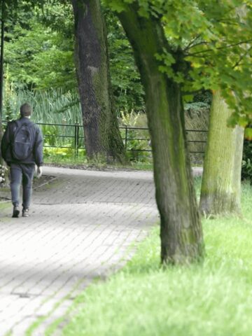 Mikołów: pokazano Regionalny Plan Adaptacji do zmian klimatu Mikołów: pokazano Regionalny Plan Adaptacji do zmian klimatu