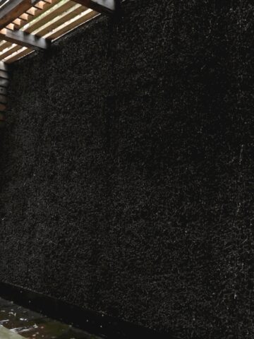 Mikołów: pokazano Regionalny Plan Adaptacji do zmian klimatu Mikołów: pokazano Regionalny Plan Adaptacji do zmian klimatu