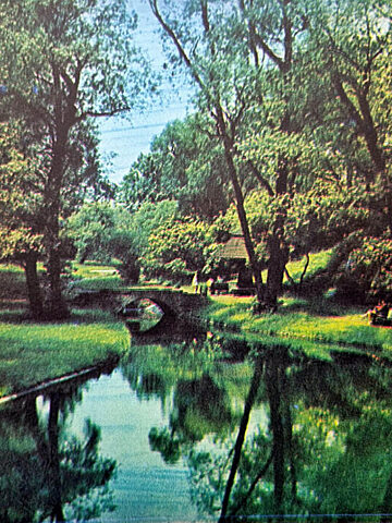 Park Śląski. Tego już nie ma lub zmieniło się do niepoznania Park Śląski. Tego już nie ma lub zmieniło się do niepoznania