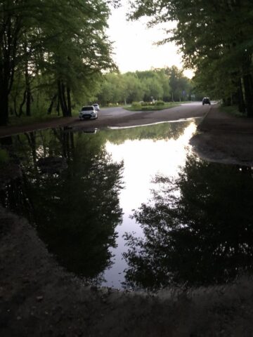 Dąbrowa Górnicza. Park „Zielona”. 26 kwietnia 2025. Dąbrowa Górnicza. Park „Zielona”. 26 kwietnia 2025.