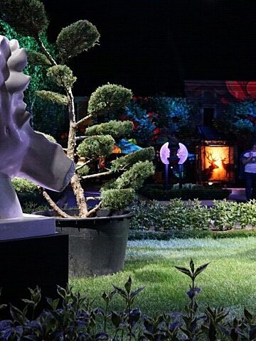 Daisy Days 2024 Daisy Days 2024