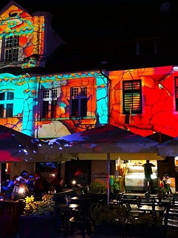 Daisy Days 2024 Daisy Days 2024