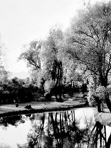 Park Śląski. Tego już nie ma lub zmieniło się do niepoznania Park Śląski. Tego już nie ma lub zmieniło się do niepoznania