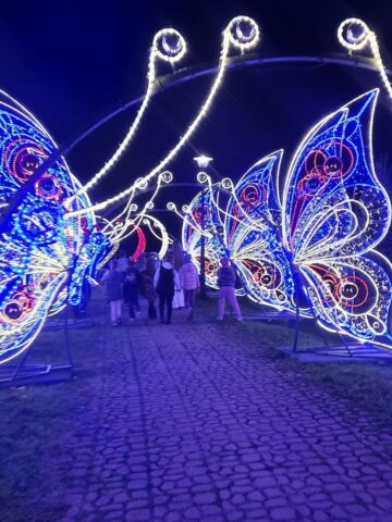 Garden of Lights Mikolow 2025 2026 5 Copy Garden of Lights Mikolow 2025 2026 5 Copy