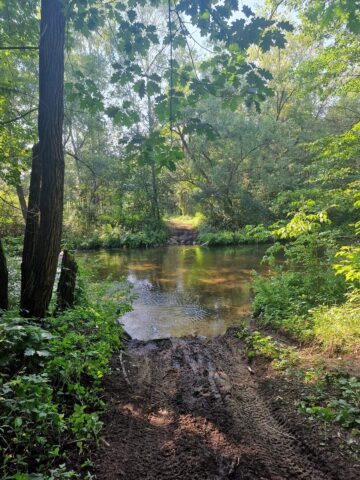 Jaworzno-Długoszyn. Biała Przemsza. 22 sierpnia 2022. Jaworzno-Długoszyn. Biała Przemsza. 22 sierpnia 2022.