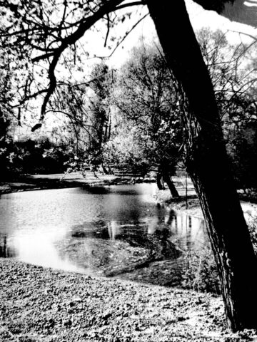 Malowniczy teren Kaskady to mistrzowski projekt Malowniczy teren Kaskady to mistrzowski projekt