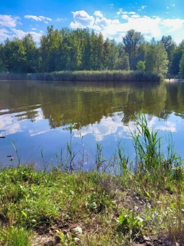 Katowice Borki 7 Katowice Borki 7