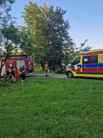 Katowice Dolina Trzech Stawow Laka Utoniecie Mezczyzny Zrodlo 112 Katowice Sluzby Ratunkowe 2025 06 21 02 Katowice Dolina Trzech Stawow Laka Utoniecie Mezczyzny Zrodlo 112 Katowice Sluzby Ratunkowe 2025 06 21 02