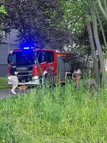 Katowice Dolina Trzech Stawow Laka Utoniecie Mezczyzny Zrodlo 112 Katowice Sluzby Ratunkowe 2025 06 21 04 Katowice Dolina Trzech Stawow Laka Utoniecie Mezczyzny Zrodlo 112 Katowice Sluzby Ratunkowe 2025 06 21 04