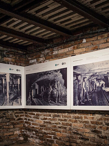 Konie w kopalniach Zabrze Konie w kopalniach Zabrze