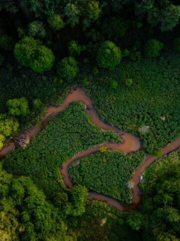 Meandry Kłodnicy Meandry Kłodnicy