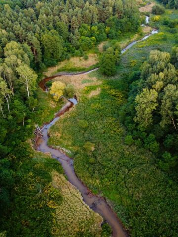 Meandry Kłodnicy Meandry Kłodnicy