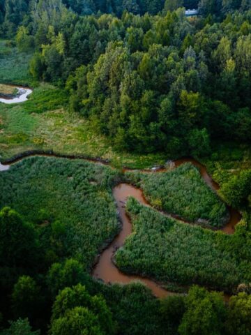 Meandry Kłodnicy Meandry Kłodnicy