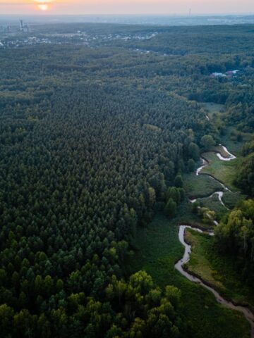 Meandry Kłodnicy Meandry Kłodnicy