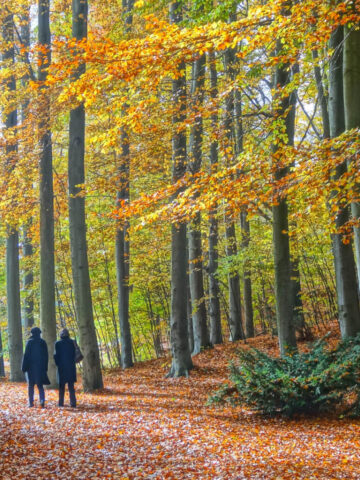 Park Myślęcinek w Bydgoszczy to największy park miejski w Polsce Park Myślęcinek w Bydgoszczy to największy park miejski w Polsce