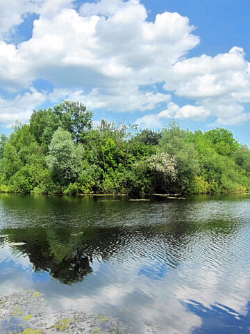 Park Myślęcinek w Bydgoszczy to największy park miejski w Polsce Park Myślęcinek w Bydgoszczy to największy park miejski w Polsce