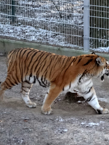 Park Myślęcinek w Bydgoszczy to największy park miejski w Polsce Park Myślęcinek w Bydgoszczy to największy park miejski w Polsce