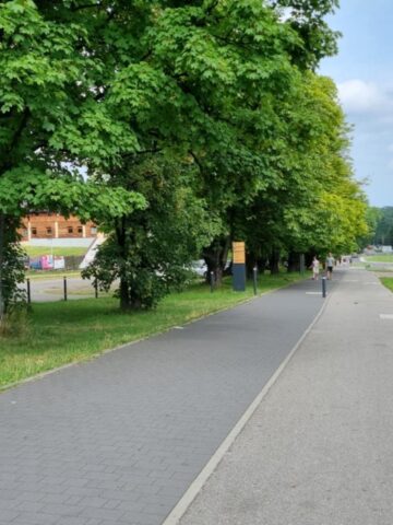 Park Śląski. Te bazgroły na tablicy informacyjnej to nie tylko wandalizm. To głupota! Park Śląski. Te bazgroły na tablicy informacyjnej to nie tylko wandalizm. To głupota!