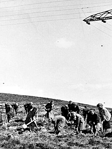 Park Śląski na dawnych zdjęciach. Tak było, nim urosły drzewa. Park Śląski na dawnych zdjęciach. Tak było, nim urosły drzewa.