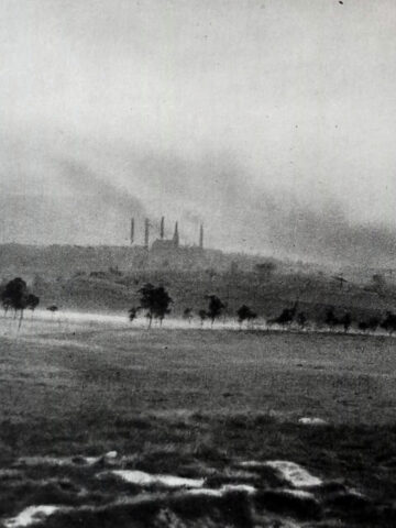 Park Śląski na dawnych zdjęciach. Tak było, nim urosły drzewa. Park Śląski na dawnych zdjęciach. Tak było, nim urosły drzewa.