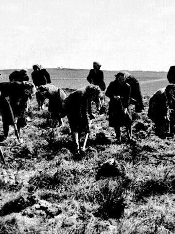 Największa część WPKiW nie powstała na hałdach, tylko na terenach rolniczych. Największa część WPKiW nie powstała na hałdach, tylko na terenach rolniczych.