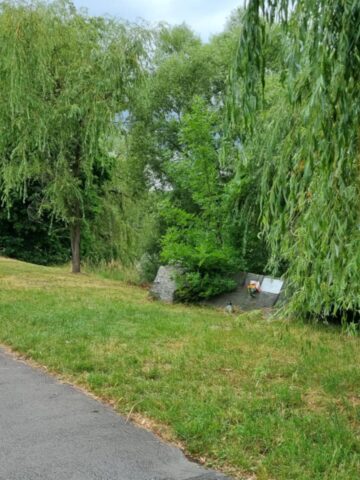 Przyrodnicza gra terenowa w parkowej aplikacji zawiera fatalne wpadki 9 Przyrodnicza gra terenowa w parkowej aplikacji zawiera fatalne wpadki 9