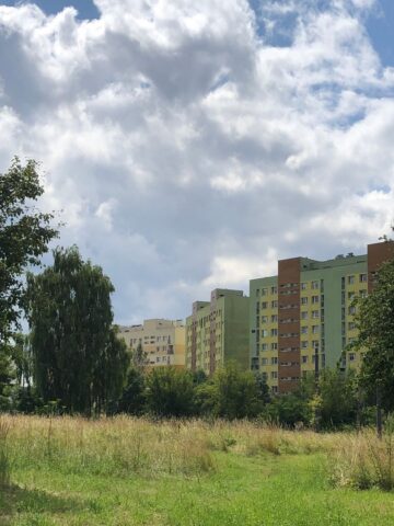 Sosnowiec-Zagórze. Nieużytki pomiędzy ulicami Teofila Lenartowicza i Białostocką. Tu będzie nowy park. 18 lipca 2025. Sosnowiec-Zagórze. Nieużytki pomiędzy ulicami Teofila Lenartowicza i Białostocką. Tu będzie nowy park. 18 lipca 2025.