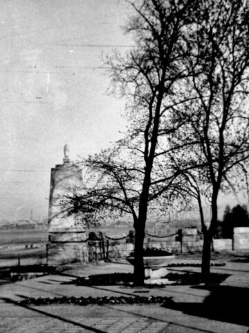 Największa część WPKiW nie powstała na hałdach, tylko na terenach rolniczych. Największa część WPKiW nie powstała na hałdach, tylko na terenach rolniczych.