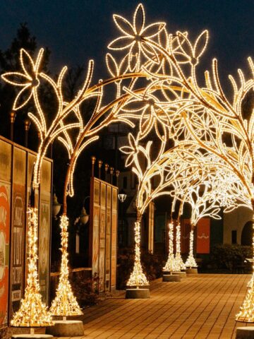 Winter Legendia 2024 17 Winter Legendia 2024 17