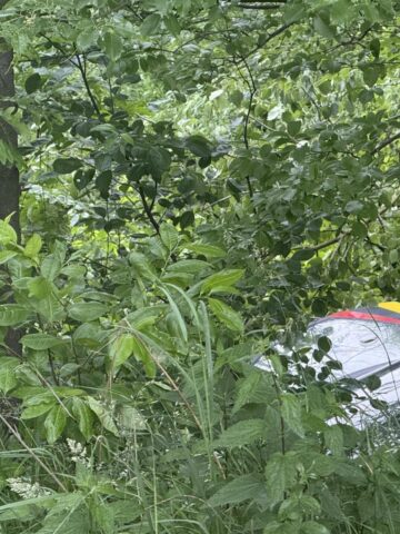 Wypadek wiatrakowiec Swietochlowice 5 Copy Wypadek wiatrakowiec Swietochlowice 5 Copy