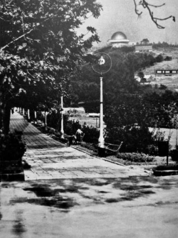 Zagadka Leśniczowki Zagadka Leśniczowki