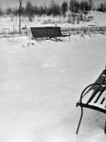 Zagadka Leśniczowki Zagadka Leśniczowki