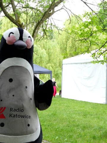 Zielona Pracownia 2025 Zielona Pracownia 2025