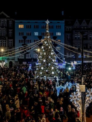 Choinka w Bytomiu Choinka w Bytomiu