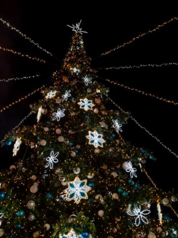 Choinka w Bytomiu Choinka w Bytomiu