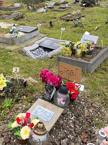 Cmentarz dla zwierząt w Bytomiu Cmentarz dla zwierząt w Bytomiu