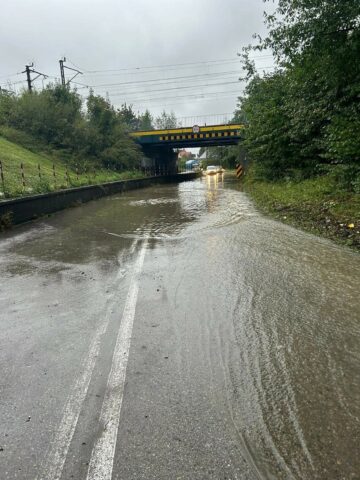 Gmina zebrzydowice Gmina zebrzydowice