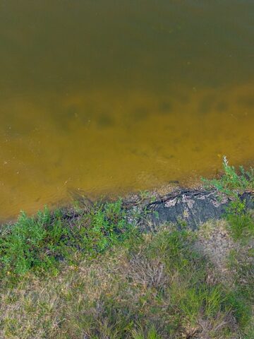 Jezioro dzierzno alota alga 3 Jezioro dzierzno alota alga 3