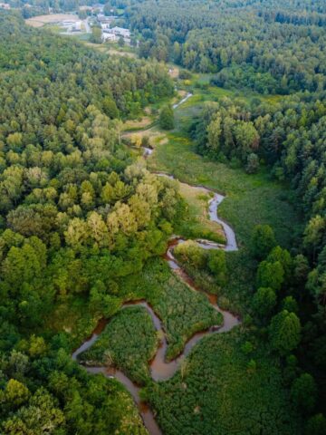 Meandry klodnicy Meandry klodnicy