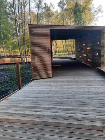 Park malownik wantuly katowice 04 Park malownik wantuly katowice 04