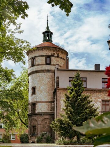 Park Repecki w Tarnowskich Górach Park Repecki w Tarnowskich Górach