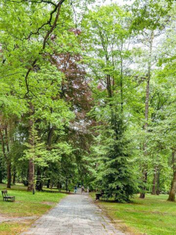 Park Repecki w Tarnowskich Górach Park Repecki w Tarnowskich Górach