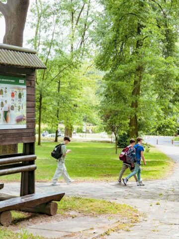 Park Repecki w Tarnowskich Górach Park Repecki w Tarnowskich Górach