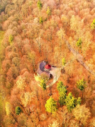Park Repecki w Tarnowskich Górach Park Repecki w Tarnowskich Górach