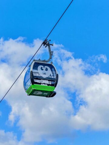 Park slaski elka 3 Park slaski elka 3