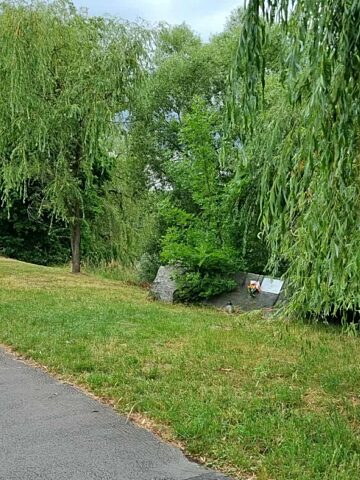 Park slaski promenada zietka 4 Park slaski promenada zietka 4