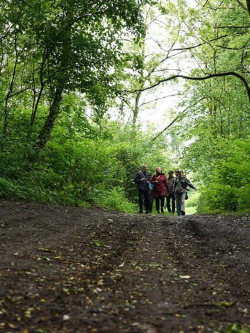 Reportaż plener fotograficzny Tu Ruda maj 2025 11 Reportaż plener fotograficzny Tu Ruda maj 2025 11