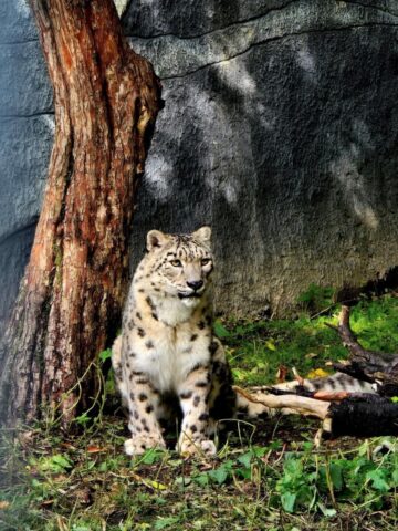 Slaskie zoo 4 Slaskie zoo 4