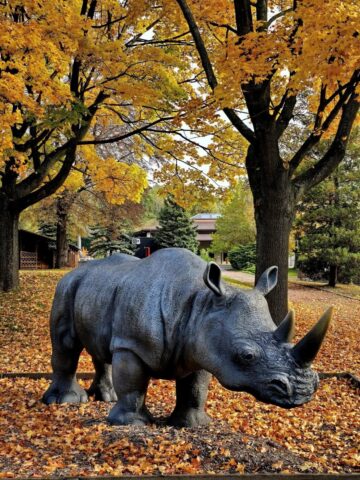 Slaskie zoo 5 Slaskie zoo 5